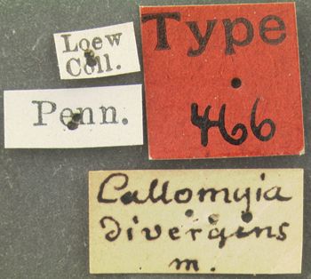 Media type: image;   Entomology 466 Aspect: labels